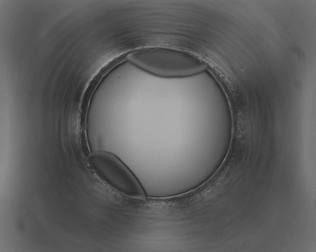 X0000116620880200912241750