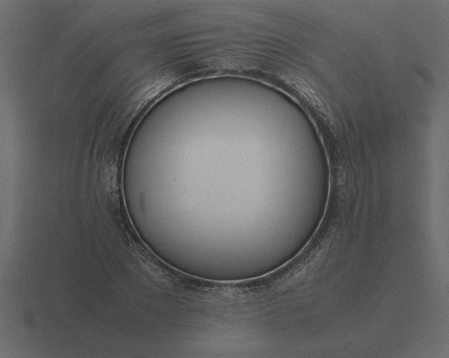 X0000116620881200912241750