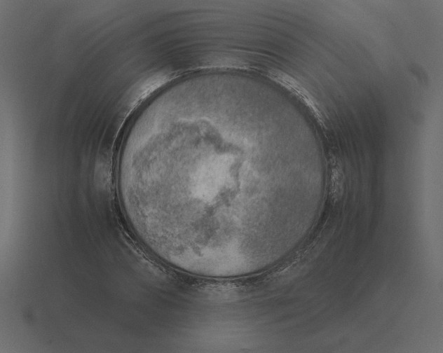 X0000116620882200912241750