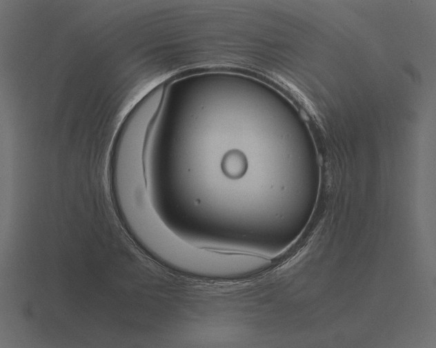 X0000116620885200912241750