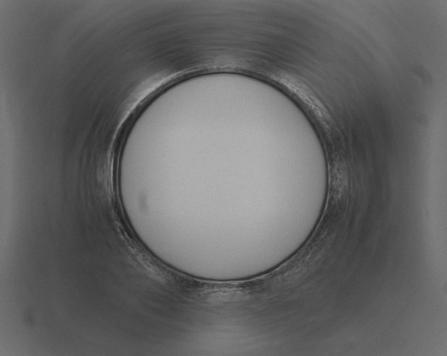 X0000116620886200912241750