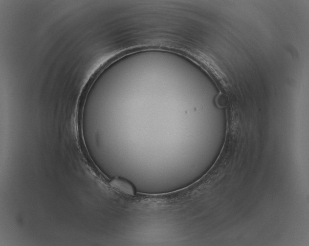 X0000116620888200912241750