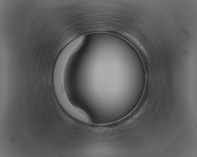 X0000116620889200912241750