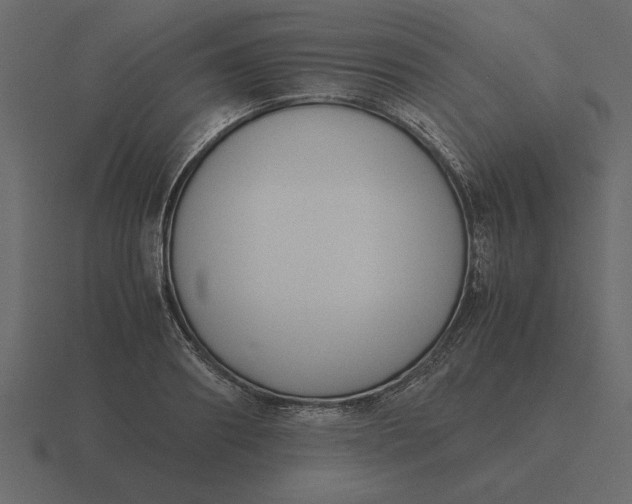 X0000116620890200912241750