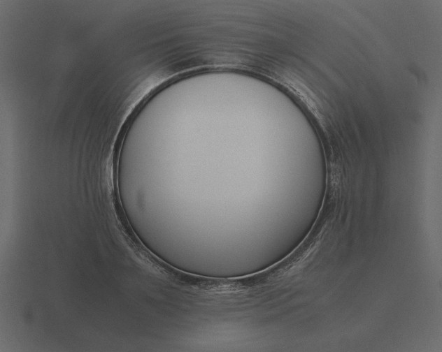 X0000116620891200912241750