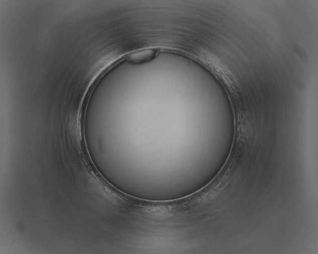 X0000116620892200912241750