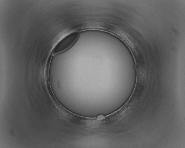 X0000116620893200912241750