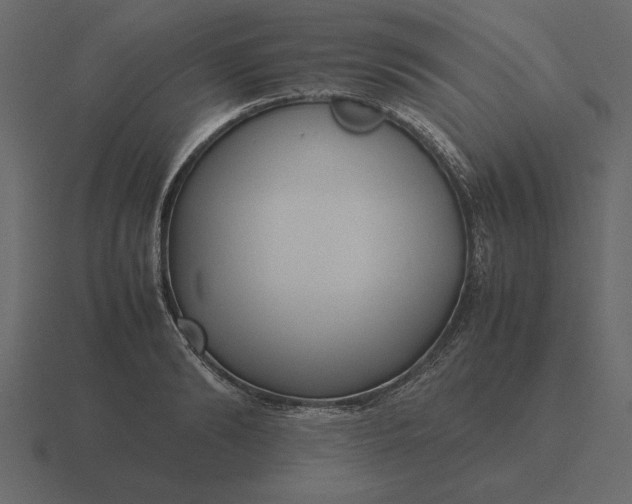 X0000116620894200912241750