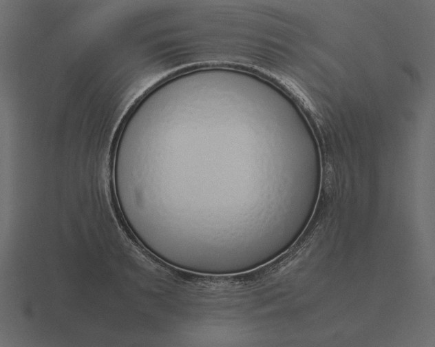 X0000116620895200912241750