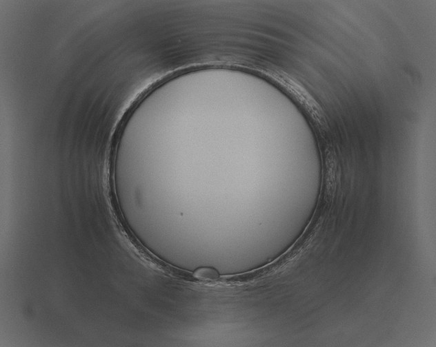 X0000116620896200912241750