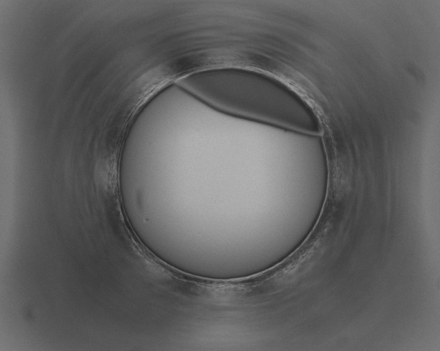 X0000116620897200912241750