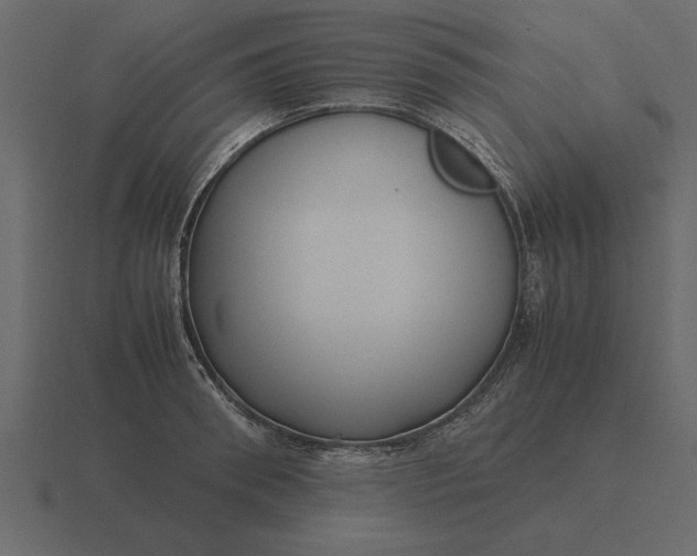 X0000116620898200912241750