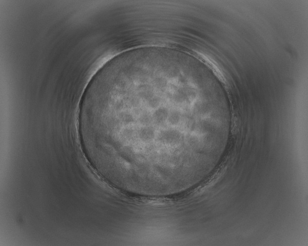 X0000116620899200912241750