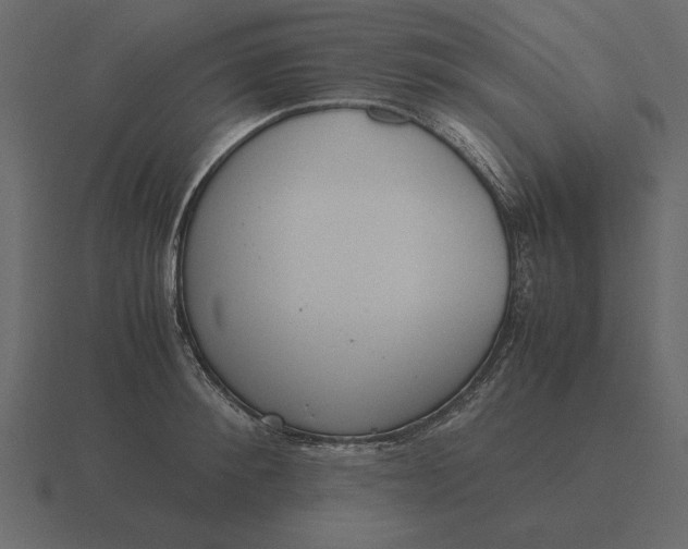 X0000116620900200912241750