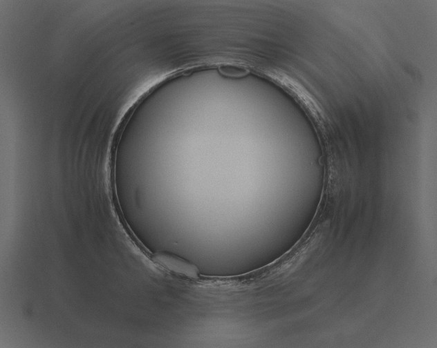 X0000116620902200912241750