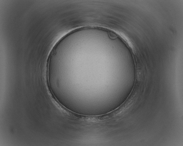 X0000116620903200912241750