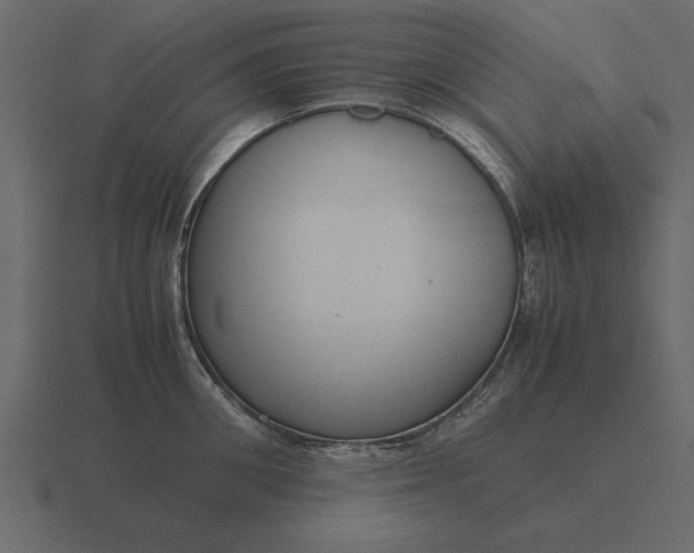 X0000116620906200912241750