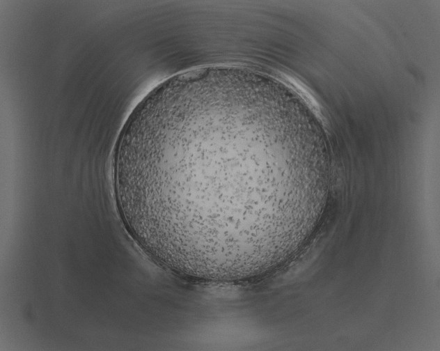 X0000116620907200912241750