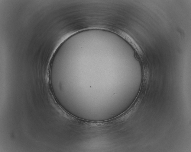 X0000116620908200912241750