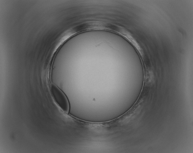 X0000116620909200912241750