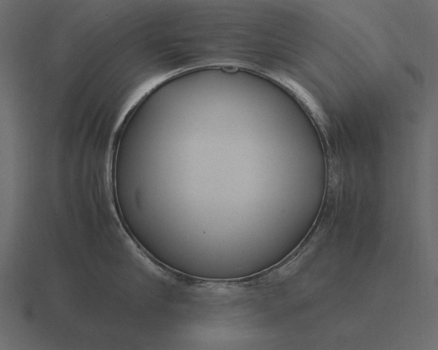 X0000116620910200912241750