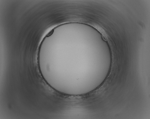 X0000116620912200912241750