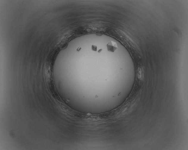 X0000116620915200912241749