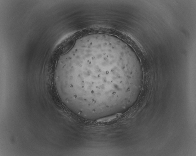 X0000116620919200912241750