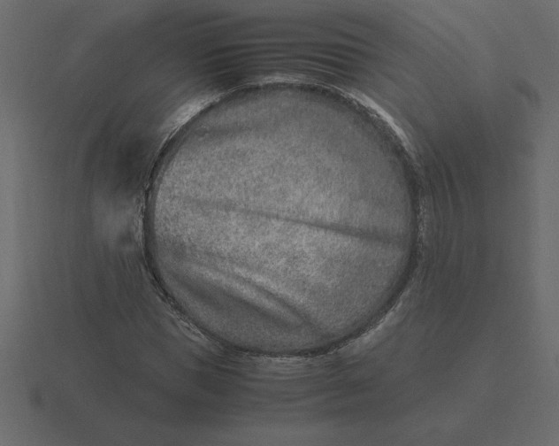 X0000116620921200912241750