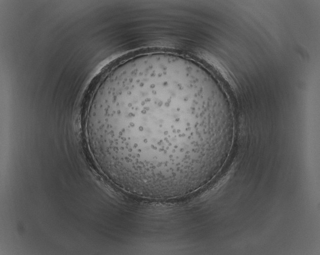 X0000116620923200912241750