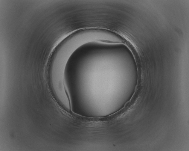 X0000116620925200912241750