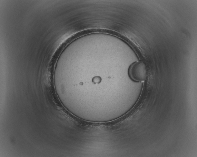 X0000116620926200912241750