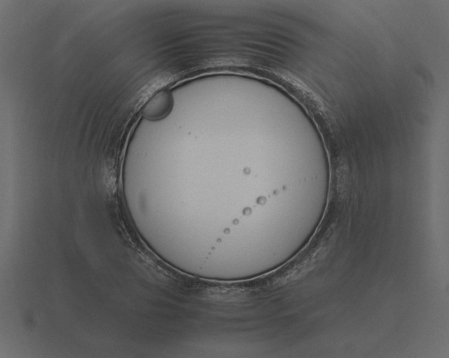 X0000116620929200912241750