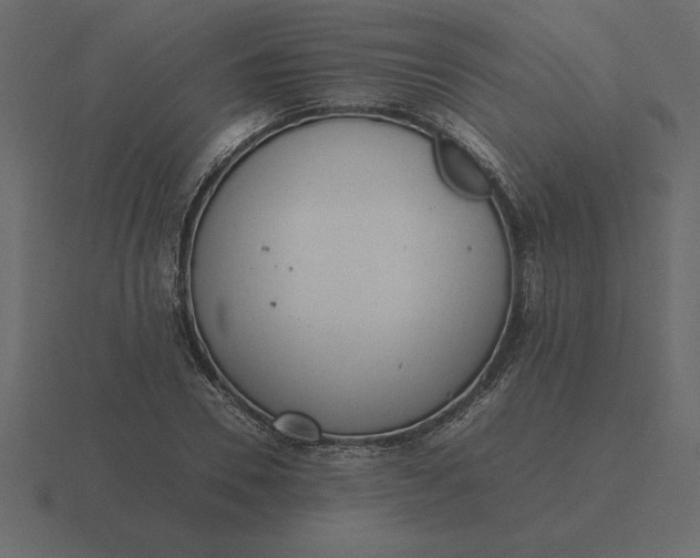 X0000116620930200912241750