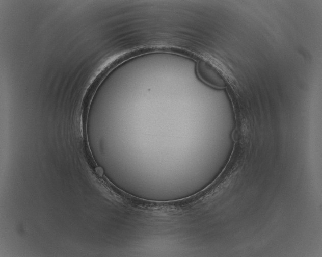 X0000116620934200912241750