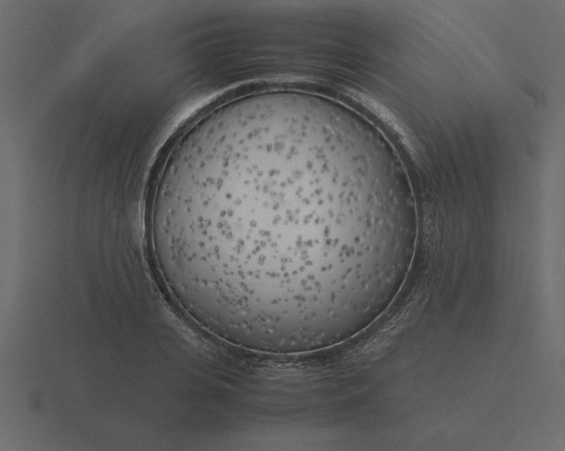 X0000116620935200912241750