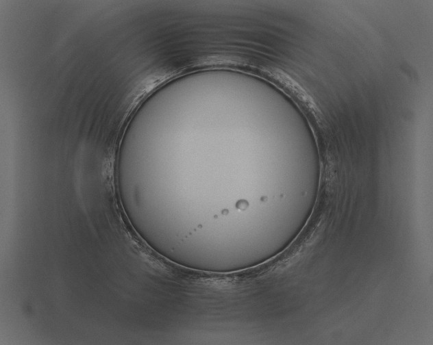 X0000116620937200912241750