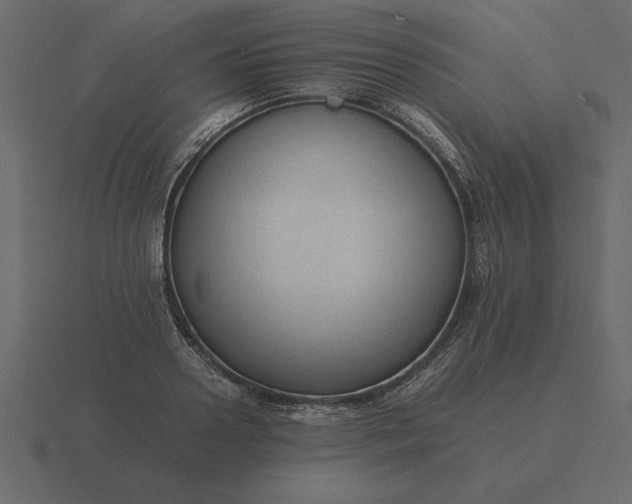 X0000116620938200912241750