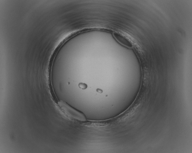 X0000116620942200912241750