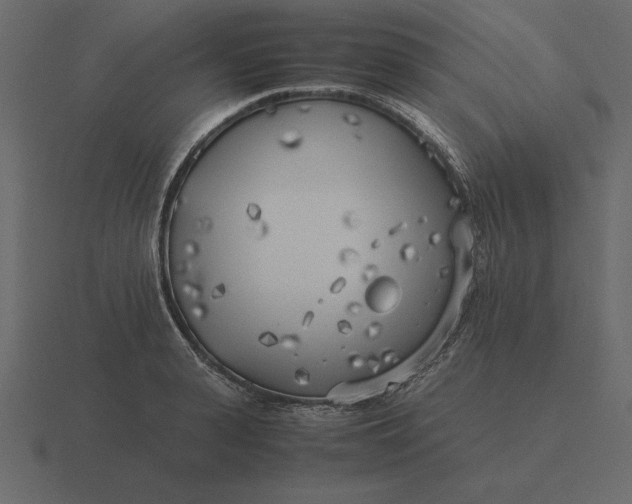 X0000116620943200912241750