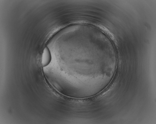 X0000116620945200912241750