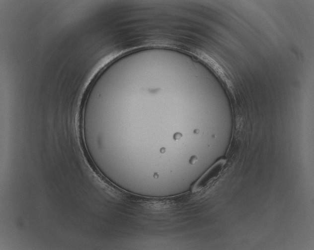 X0000116620947200912241750