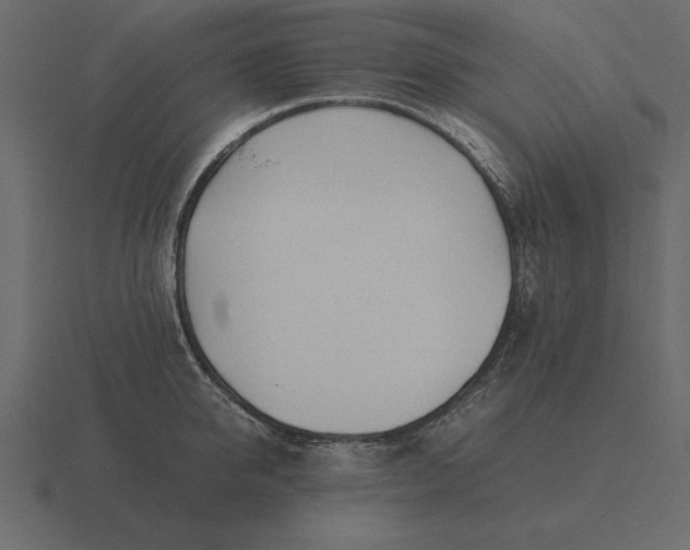 X0000116620950200912241750