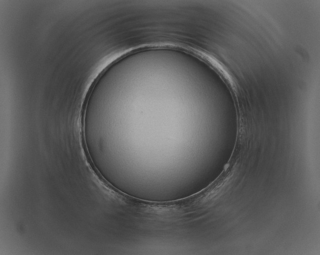 X0000116620951200912241750