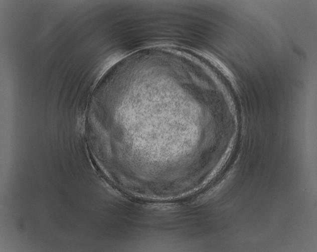 X0000116620953200912241750