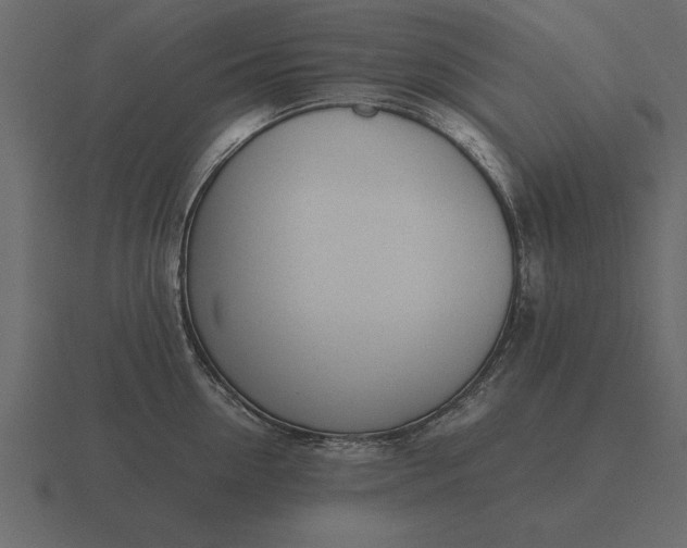 X0000116620954200912241750