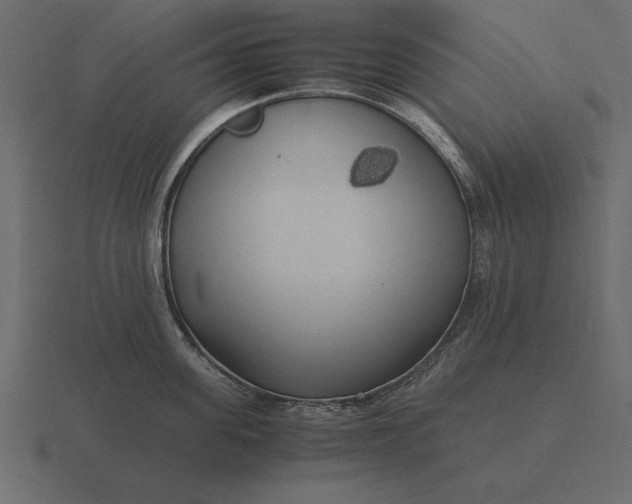 X0000116620955200912241750