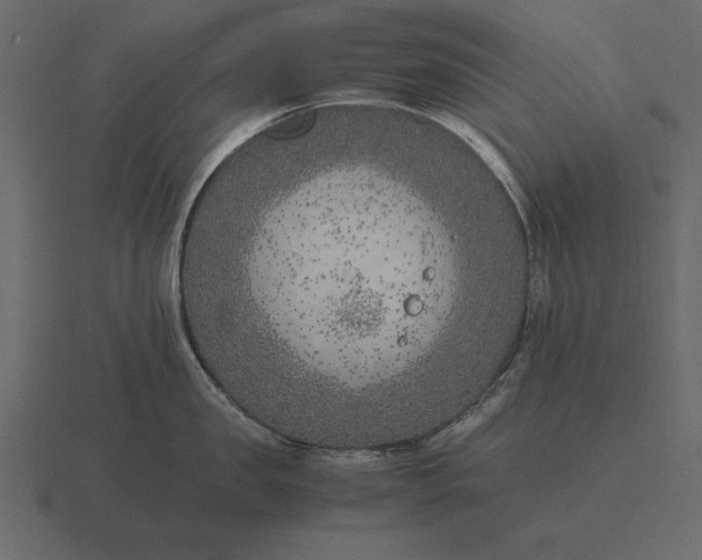 X0000116620957200912241750