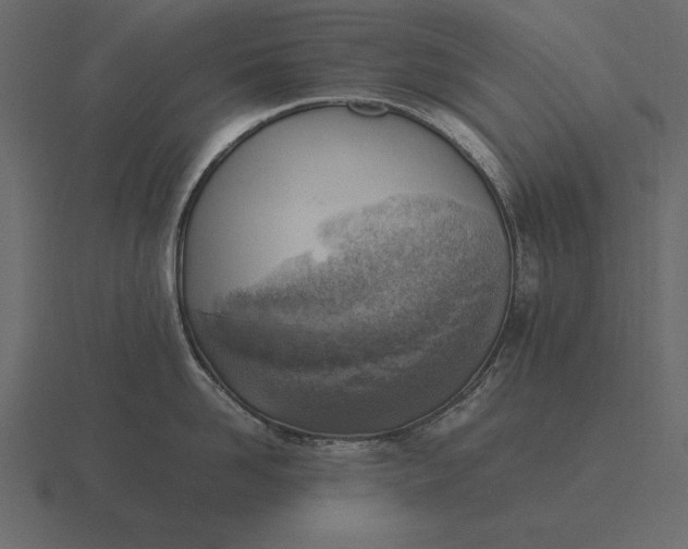 X0000116620958200912241750