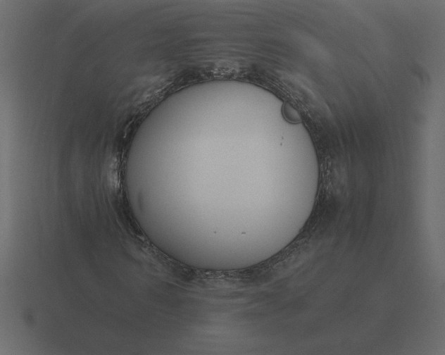 X0000116620962200912241749